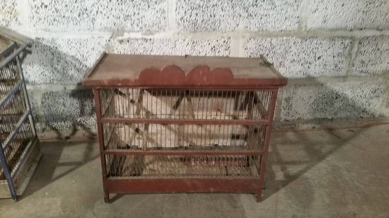 Ancienne Cage à Oiseau Vers 1950 Lille Lens Arras